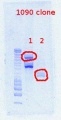 Thumbnail for version as of 14:49, 20 April 2012