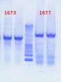 Thumbnail for version as of 12:38, 6 March 2013