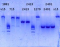 Thumbnail for version as of 12:20, 6 February 2015