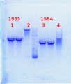 Thumbnail for version as of 17:14, 14 January 2014