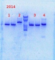 Thumbnail for version as of 08:58, 11 March 2014