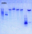 Thumbnail for version as of 17:06, 20 February 2014