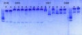 Thumbnail for version as of 11:56, 29 October 2014