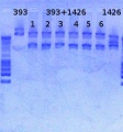 Thumbnail for version as of 14:57, 25 March 2013