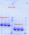 Thumbnail for version as of 13:26, 4 May 2012