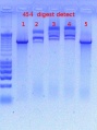Thumbnail for version as of 13:53, 28 November 2011