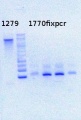 Thumbnail for version as of 15:51, 18 July 2013