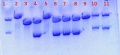 Thumbnail for version as of 11:55, 18 August 2011