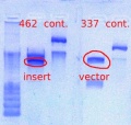 Thumbnail for version as of 13:56, 26 March 2012