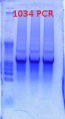 Thumbnail for version as of 16:12, 26 March 2012