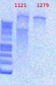 Thumbnail for version as of 17:23, 3 January 2013