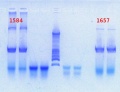 Thumbnail for version as of 15:44, 15 February 2013