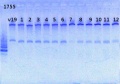 Thumbnail for version as of 11:59, 10 June 2013