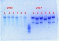 Thumbnail for version as of 17:25, 14 February 2014