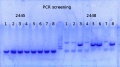 Thumbnail for version as of 17:29, 6 July 2015