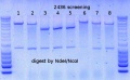 Thumbnail for version as of 16:38, 20 April 2015