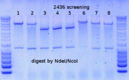 RTENOTITLE