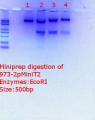 Thumbnail for version as of 16:12, 1 April 2018