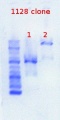 Thumbnail for version as of 14:02, 23 May 2012