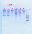 Thumbnail for version as of 15:23, 8 May 2014