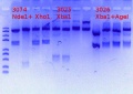 Thumbnail for version as of 13:39, 29 September 2017