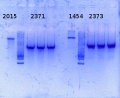 Thumbnail for version as of 13:34, 3 November 2014