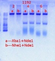 Thumbnail for version as of 14:30, 31 May 2012