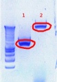 Thumbnail for version as of 16:13, 18 July 2012