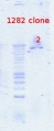 Thumbnail for version as of 16:17, 6 August 2012