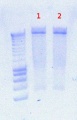 Thumbnail for version as of 15:01, 7 August 2012
