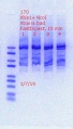 Thumbnail for version as of 21:45, 7 January 2019