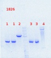 Thumbnail for version as of 14:26, 30 August 2013