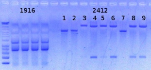 RTENOTITLE