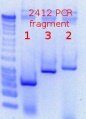 Thumbnail for version as of 16:43, 4 May 2015