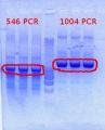 Thumbnail for version as of 11:30, 8 February 2012