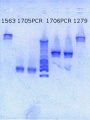 Thumbnail for version as of 16:36, 22 March 2013