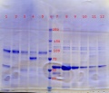 Thumbnail for version as of 13:56, 27 April 2017