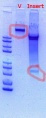 Thumbnail for version as of 21:45, 5 April 2018