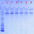Thumbnail for version as of 15:17, 9 May 2012