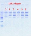 Thumbnail for version as of 15:20, 8 August 2012