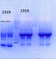 Thumbnail for version as of 13:44, 24 September 2014