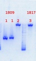 Thumbnail for version as of 14:04, 5 August 2013