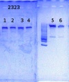 Thumbnail for version as of 13:11, 20 October 2014