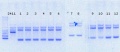Thumbnail for version as of 12:04, 28 September 2016
