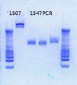 Thumbnail for version as of 15:24, 29 January 2013