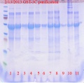 Thumbnail for version as of 17:59, 13 February 2013