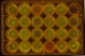 Thumbnail for version as of 15:12, 13 November 2014