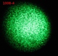 Thumbnail for version as of 15:33, 21 February 2012
