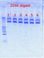 Thumbnail for version as of 15:02, 23 April 2012