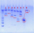 Thumbnail for version as of 14:50, 21 June 2012
